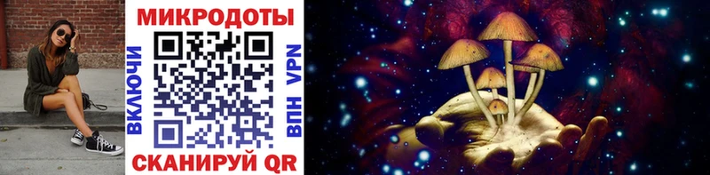 hydra ссылки  Котовск  Псилоцибиновые грибы MAGIC MUSHROOMS  продажа наркотиков 
